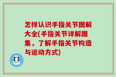 怎样认识手指关节图解大全(手指关节详解图集，了解手指关节构造与运动方式)