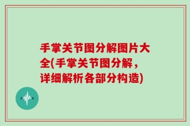 手掌关节图分解图片大全(手掌关节图分解，详细解析各部分构造)