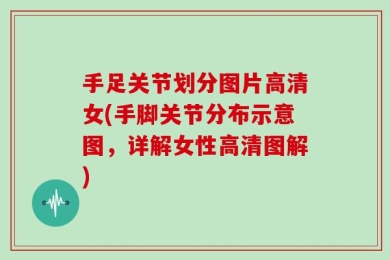 手足关节划分图片高清女(手脚关节分布示意图，详解女性高清图解)