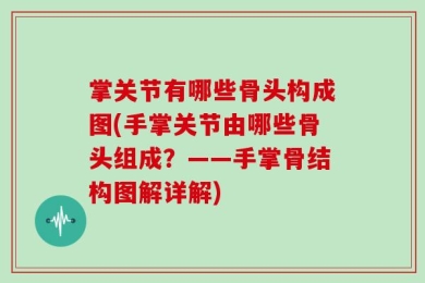 掌关节有哪些骨头构成图(手掌关节由哪些骨头组成？——手掌骨结构图解详解)