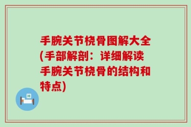 手腕关节桡骨图解大全(手部解剖：详细解读手腕关节桡骨的结构和特点)