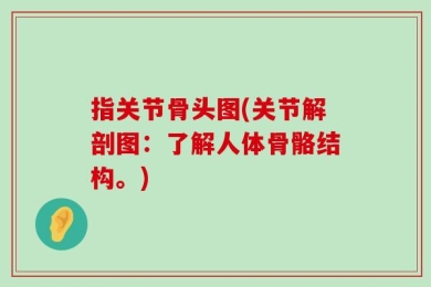 指关节骨头图(关节解剖图：了解人体骨骼结构。)
