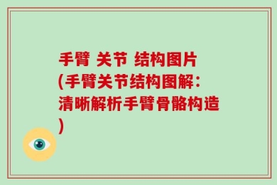 手臂 关节 结构图片(手臂关节结构图解：清晰解析手臂骨骼构造)