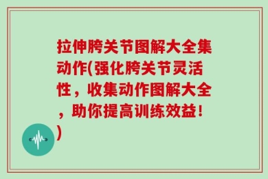 拉伸胯关节图解大全集动作(强化胯关节灵活性，收集动作图解大全，助你提高训练效益！)