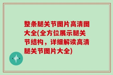 整条腿关节图片高清图大全(全方位展示腿关节结构，详细解读高清腿关节图片大全)
