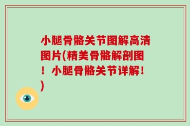 小腿骨骼关节图解高清图片(精美骨骼解剖图！小腿骨骼关节详解！)
