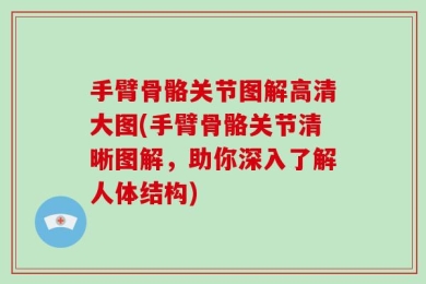 手臂骨骼关节图解高清大图(手臂骨骼关节清晰图解，助你深入了解人体结构)