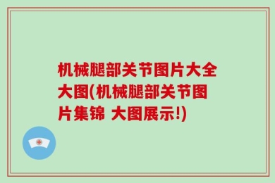机械腿部关节图片大全大图(机械腿部关节图片集锦 大图展示!)