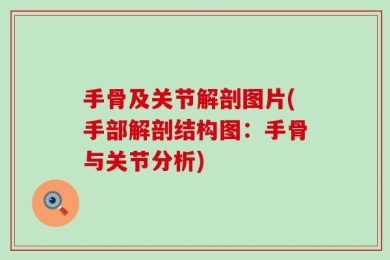 手骨及关节解剖图片(手部解剖结构图：手骨与关节分析)