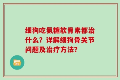细狗吃氨糖软骨素都治什么？详解细狗骨关节问题及治疗方法？