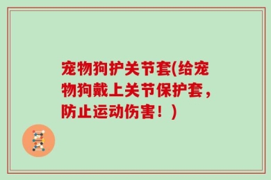 宠物狗护关节套(给宠物狗戴上关节保护套，防止运动伤害！)