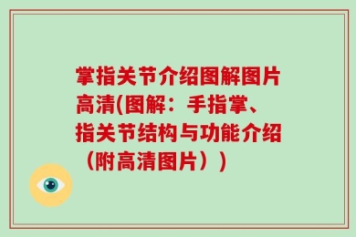 掌指关节介绍图解图片高清(图解：手指掌、指关节结构与功能介绍（附高清图片）)