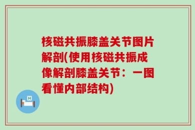 核磁共振膝盖关节图片解剖(使用核磁共振成像解剖膝盖关节：一图看懂内部结构)
