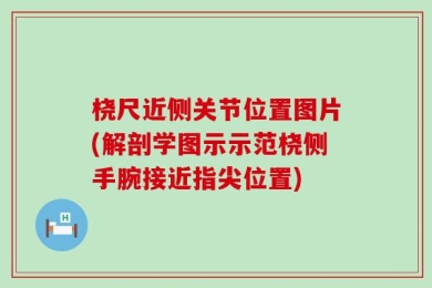 桡尺近侧关节位置图片(解剖学图示示范桡侧手腕接近指尖位置)