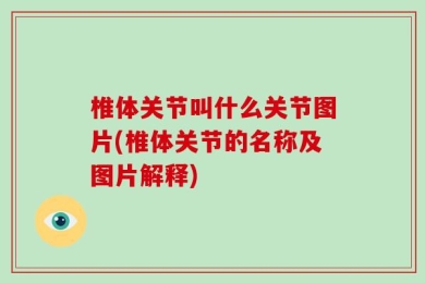椎体关节叫什么关节图片(椎体关节的名称及图片解释)