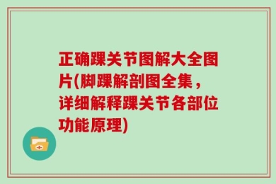 正确踝关节图解大全图片(脚踝解剖图全集，详细解释踝关节各部位功能原理)