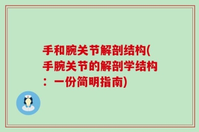 手和腕关节解剖结构(手腕关节的解剖学结构：一份简明指南)
