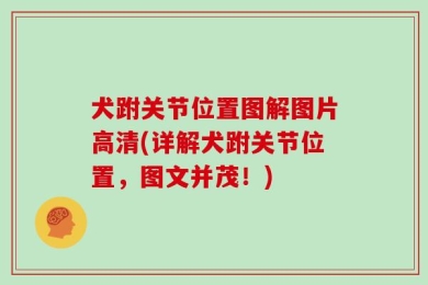 犬跗关节位置图解图片高清(详解犬跗关节位置，图文并茂！)