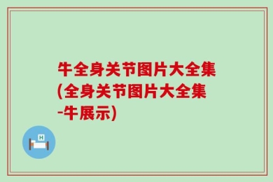 牛全身关节图片大全集(全身关节图片大全集-牛展示)