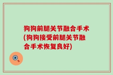 狗狗前腿关节融合手术(狗狗接受前腿关节融合手术恢复良好)