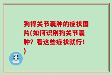 狗得关节囊肿的症状图片(如何识别狗关节囊肿？看这些症状就行！)