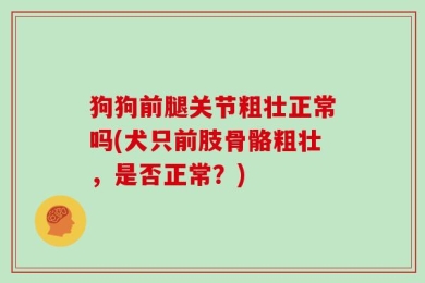 狗狗前腿关节粗壮正常吗(犬只前肢骨骼粗壮，是否正常？)