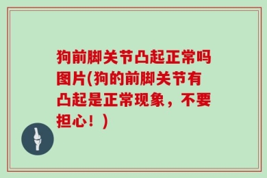 狗前脚关节凸起正常吗图片(狗的前脚关节有凸起是正常现象，不要担心！)