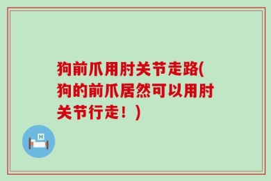 狗前爪用肘关节走路(狗的前爪居然可以用肘关节行走！)