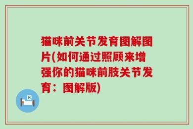 猫咪前关节发育图解图片(如何通过照顾来增强你的猫咪前肢关节发育：图解版)
