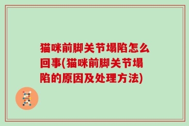 猫咪前脚关节塌陷怎么回事(猫咪前脚关节塌陷的原因及处理方法)