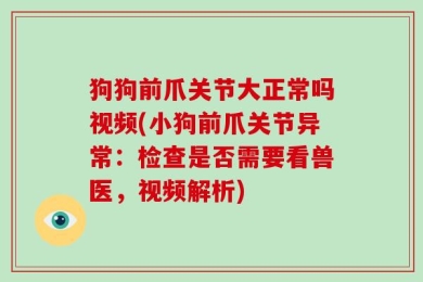 狗狗前爪关节大正常吗视频(小狗前爪关节异常：检查是否需要看兽医，视频解析)