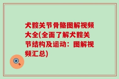 犬髋关节骨骼图解视频大全(全面了解犬髋关节结构及运动：图解视频汇总)