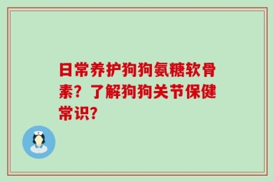 日常养护狗狗氨糖软骨素？了解狗狗关节保健常识？