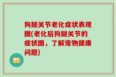 狗腿关节老化症状表现图(老化后狗腿关节的症状图，了解宠物健康问题)
