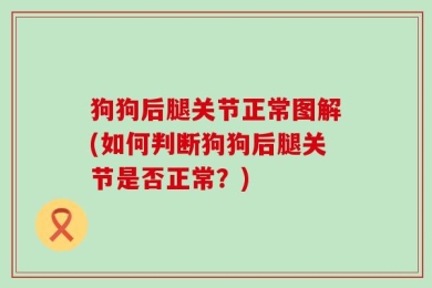 狗狗后腿关节正常图解(如何判断狗狗后腿关节是否正常？)