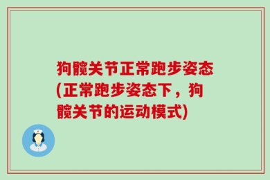 狗髋关节正常跑步姿态(正常跑步姿态下，狗髋关节的运动模式)
