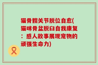 猫骨髋关节脱位自愈(猫咪骨盆脱臼自我康复：感人故事展现宠物的顽强生命力)