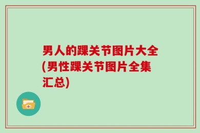 男人的踝关节图片大全(男性踝关节图片全集汇总)