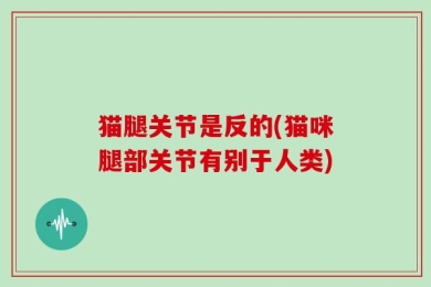 猫腿关节是反的(猫咪腿部关节有别于人类)