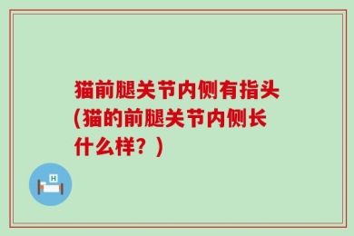 猫前腿关节内侧有指头(猫的前腿关节内侧长什么样？)
