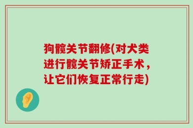 狗髋关节翻修(对犬类进行髋关节矫正手术，让它们恢复正常行走)