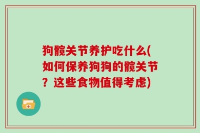 狗髋关节养护吃什么(如何保养狗狗的髋关节？这些食物值得考虑)