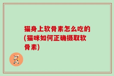猫身上软骨素怎么吃的(猫咪如何正确摄取软骨素)