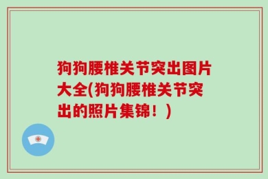 狗狗腰椎关节突出图片大全(狗狗腰椎关节突出的照片集锦！)