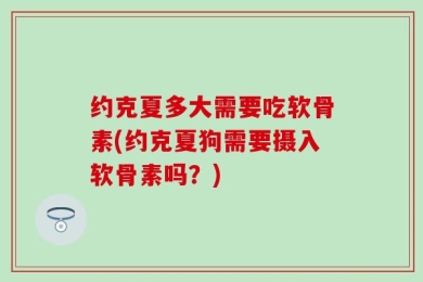 约克夏多大需要吃软骨素(约克夏狗需要摄入软骨素吗？)