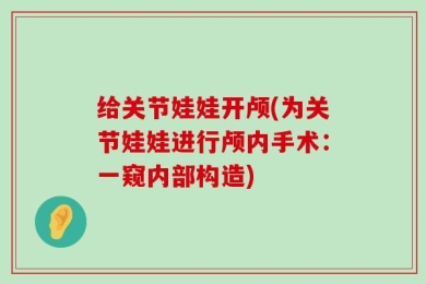 给关节娃娃开颅(为关节娃娃进行颅内手术：一窥内部构造)