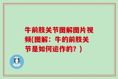 牛前肢关节图解图片视频(图解：牛的前肢关节是如何运作的？)