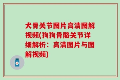 犬骨关节图片高清图解视频(狗狗骨骼关节详细解析：高清图片与图解视频)