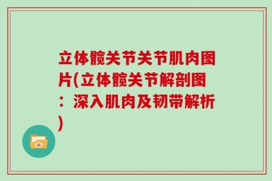 立体髋关节关节肌肉图片(立体髋关节解剖图：深入肌肉及韧带解析)