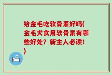 给金毛吃软骨素好吗(金毛犬食用软骨素有哪些好处？新主人必读！)